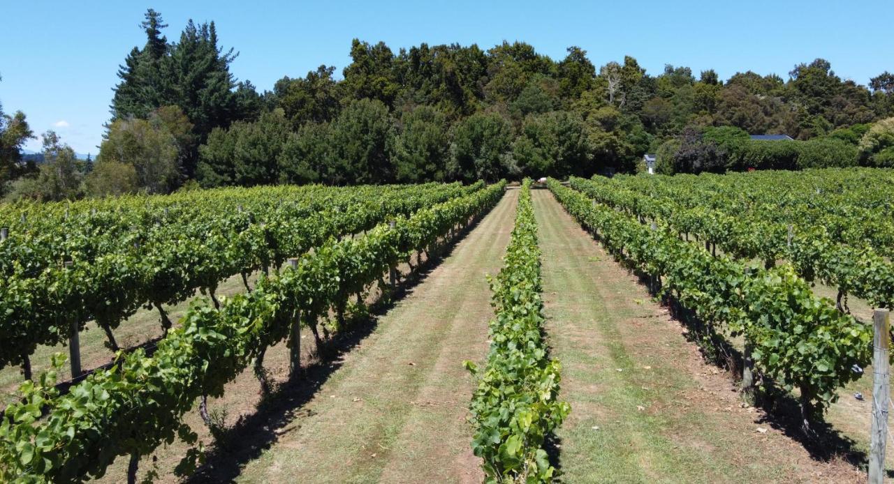 Pirita Vineyard Cottage. Upper Moutere 外观 照片