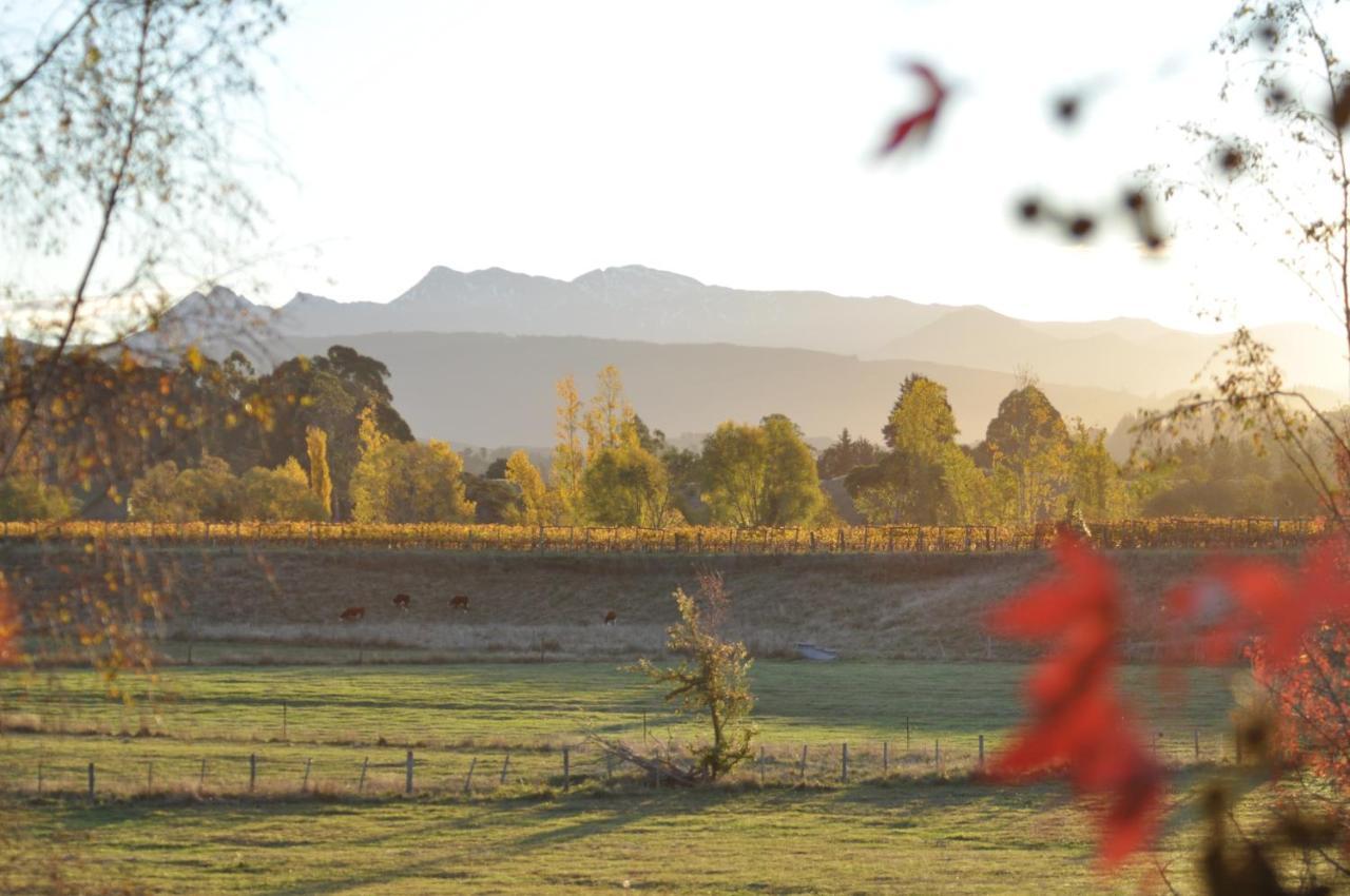Pirita Vineyard Cottage. Upper Moutere 外观 照片